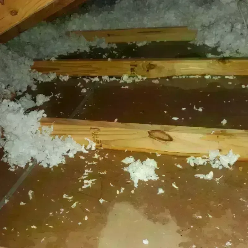 Attic Water Damage in Houghton County, MI